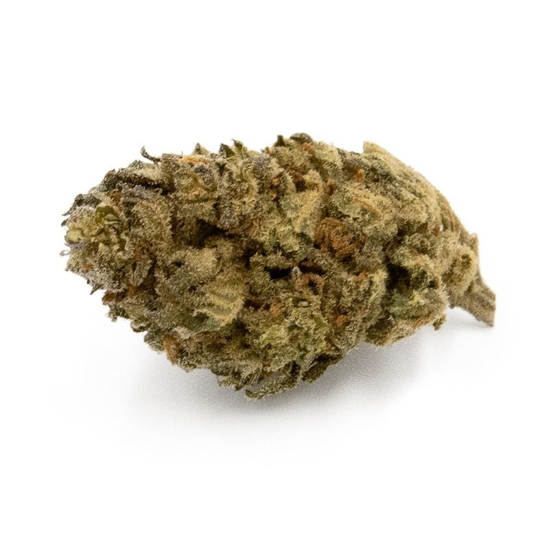 orange-bud-indoor-infusion-fleurs-cbd