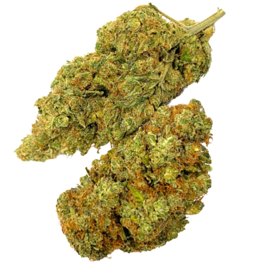 fleurs CBD Mango Haze CBD Suisse Indoor