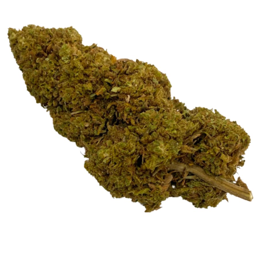 white widow fleurs CBD greenhouse suisse