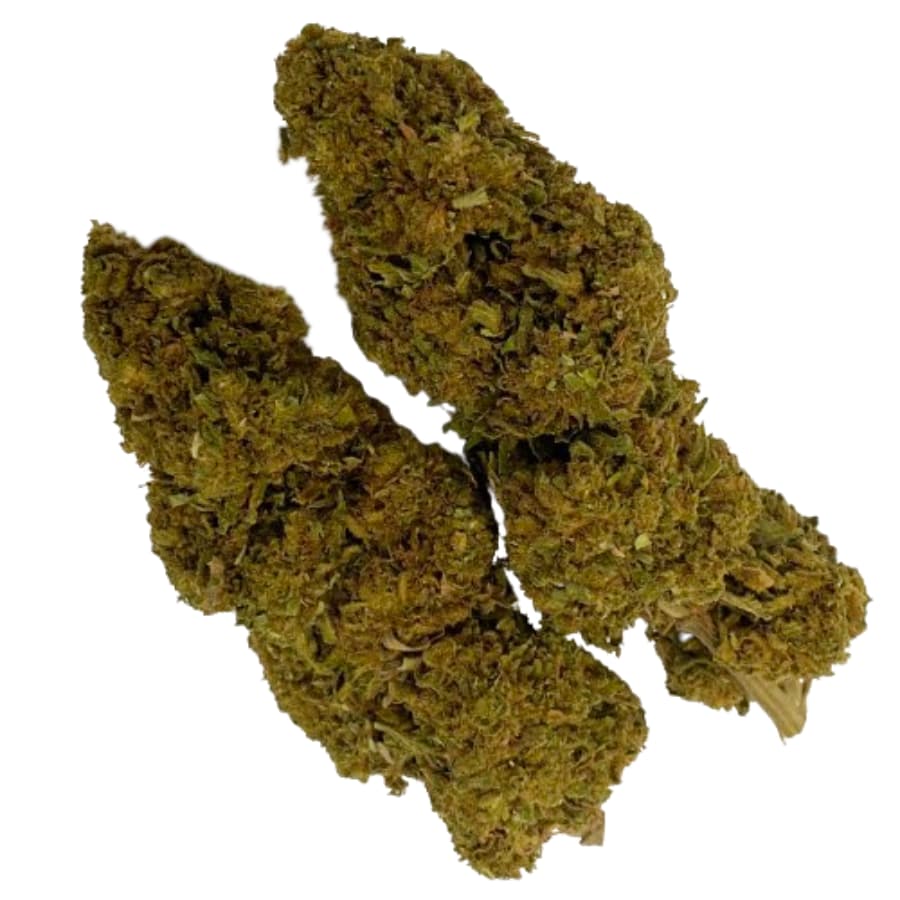 fleurs de CBD white widow greenhouse suisse