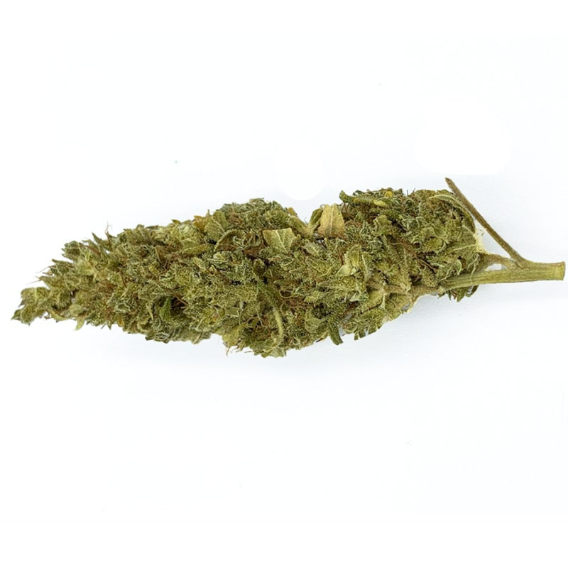 LIMONCELLO FLEUR CBD