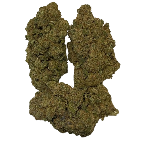 DIAMOND_OG_INDOOR
