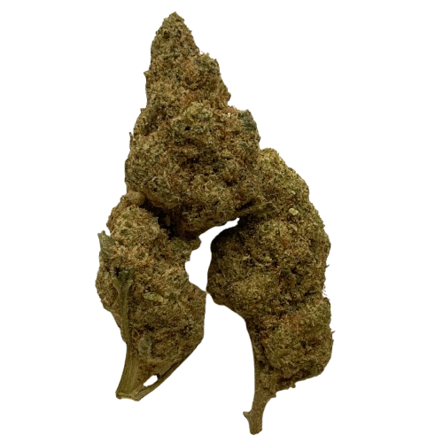 ZEUS OG INDOOR