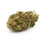 sativa-l-outdoor-infusion-fleurs-cbd