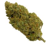 fleurs de CBD Mango haze CBD Suisse