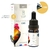Huile CBD coco MCT