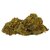 fleurs CBD AK 47 Greenhouse