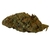 FLEURS STRAWBERRY 10-OH-HHC