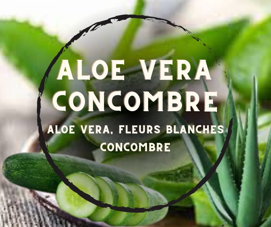 Tablette parfumée Aloe vera - Concombre