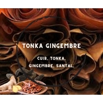 tonka gingembre