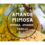 amande mimosa