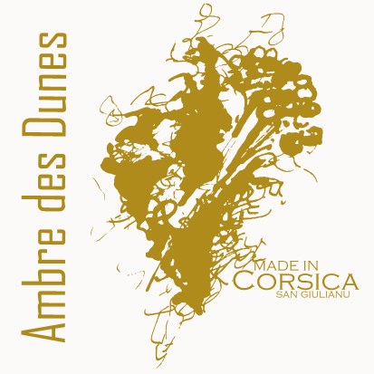 Ambre des Dunes