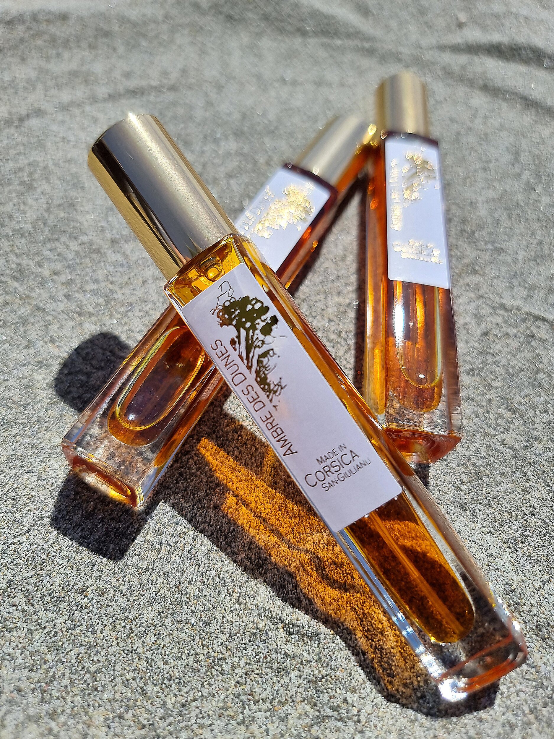 elixir sable 20260604 104128