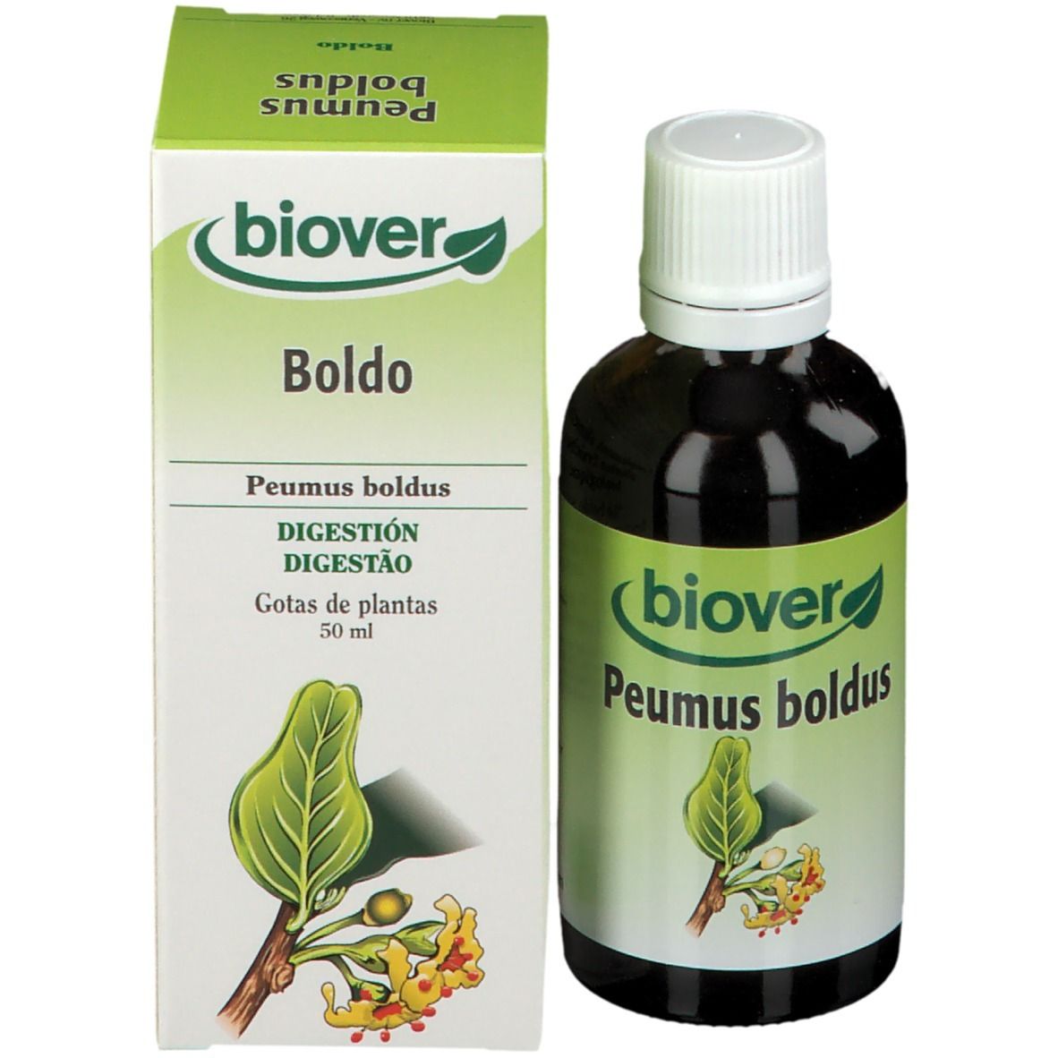 biover-boldo-peumus-boldus-teinture-mere-bio-teinture-BE01680545-p16