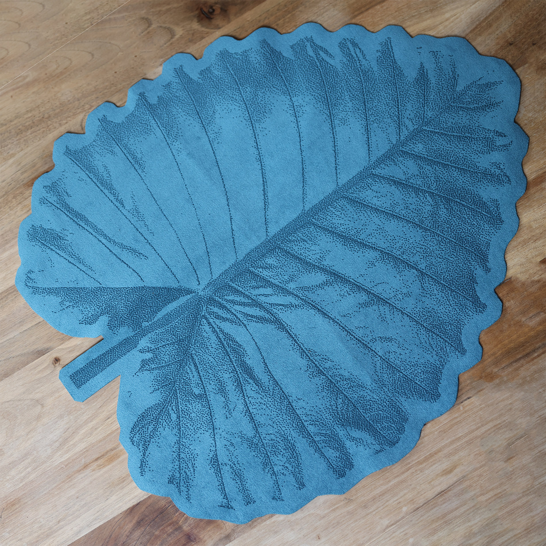 ALOCASIA2