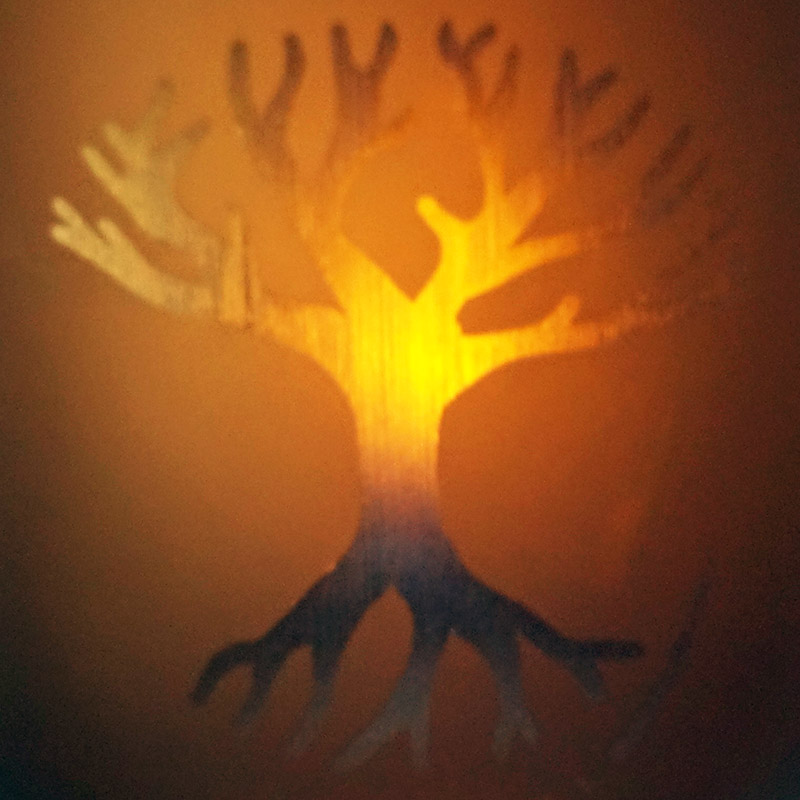 dessin arbre de vie
