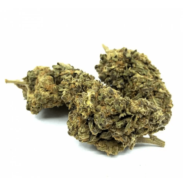 OG KUSH Fleur de CBD