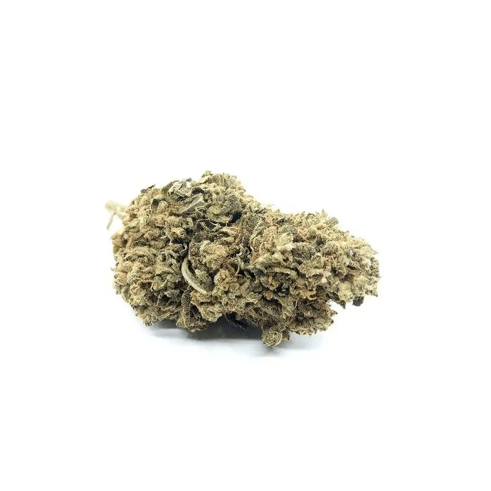 white-widow-fleur-de-cbd-indoor