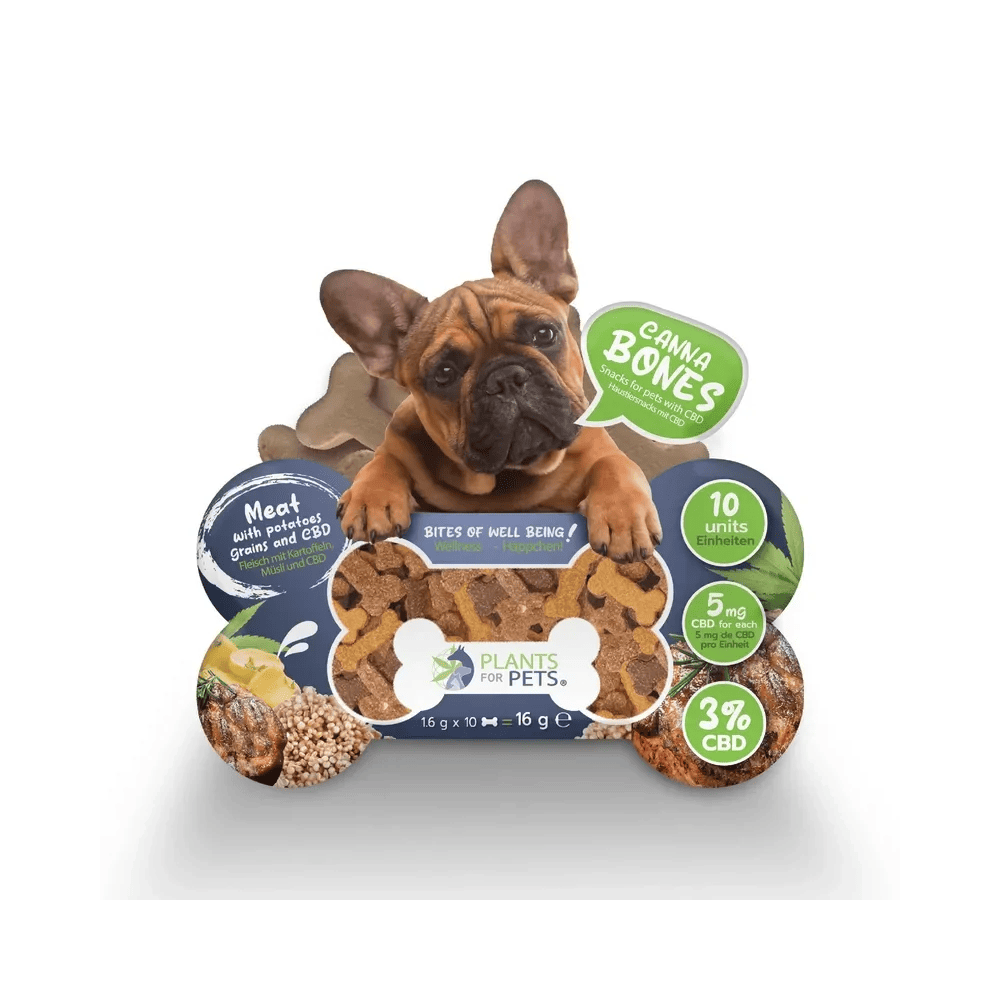 friandise-cbd-chien-plants-for-pets