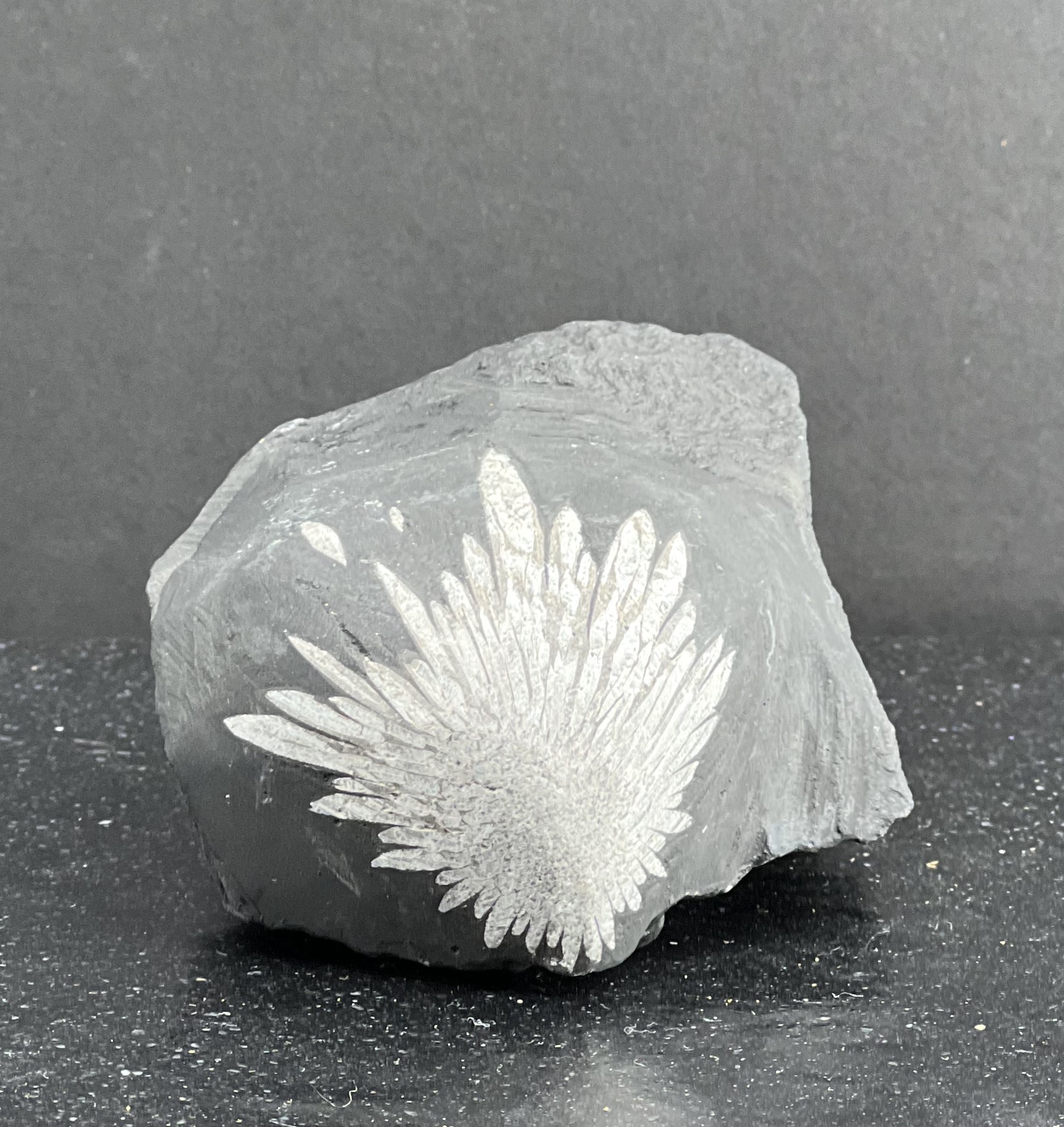Pierre de Chrysanthème naturelle LES PIERRES DE KYRIA (1)