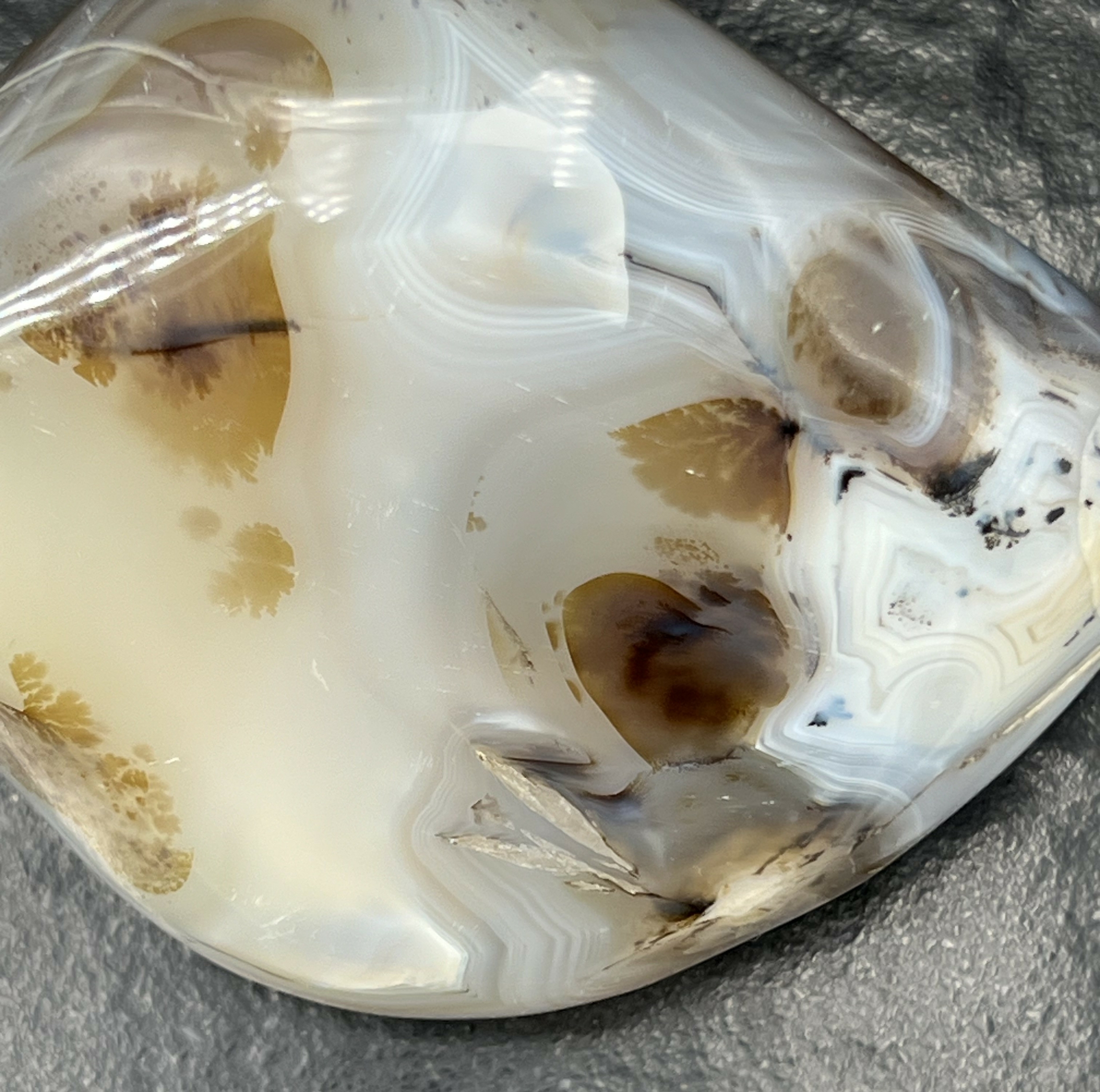 AGATE DENDRITIQUE 525G LES PIERRES DE KYRIA (9)