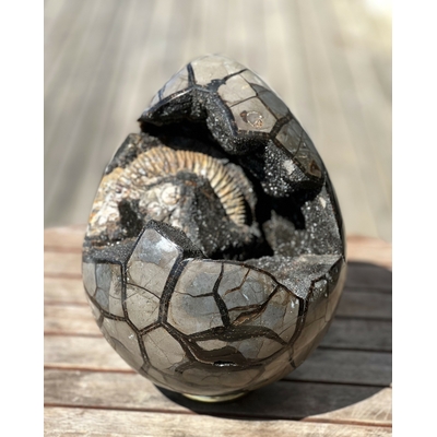 OEUF SEPTARIA AVEC AMMONITE RARE 10KG LES PIERRES DE KYRIA (1)