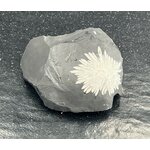 PIERRE CHRYSANTHEME LES PIERRES DE KYRIA (1)