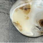AGATE DENDRITIQUE 525G LES PIERRES DE KYRIA (8)
