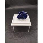 IMG_20250908_184853