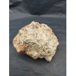 IMG_20250922_172217