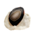TRANCHE AGATE LES PIERRES DE KYRIA (1)