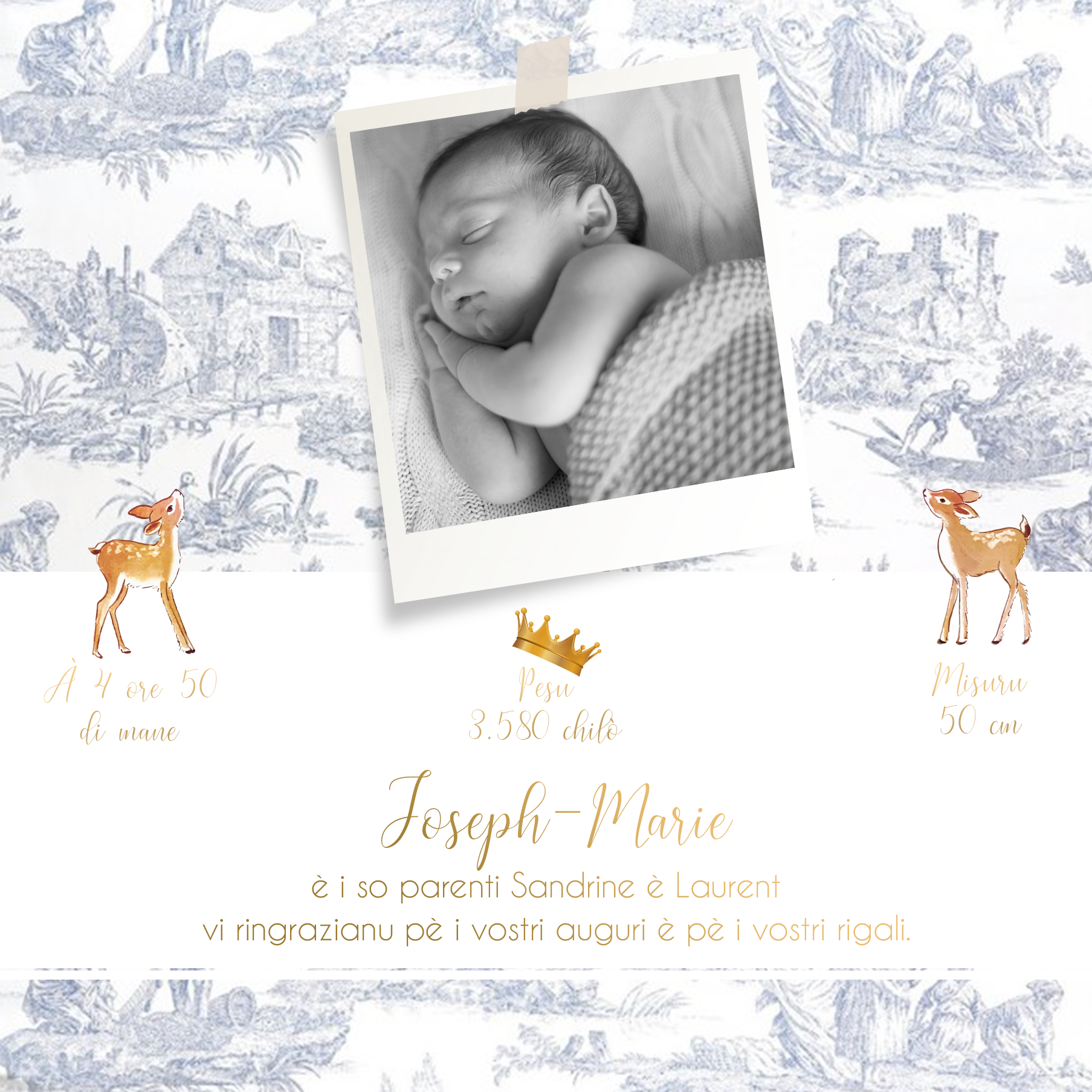 FP naissance toile de jouy bleu + biches verso