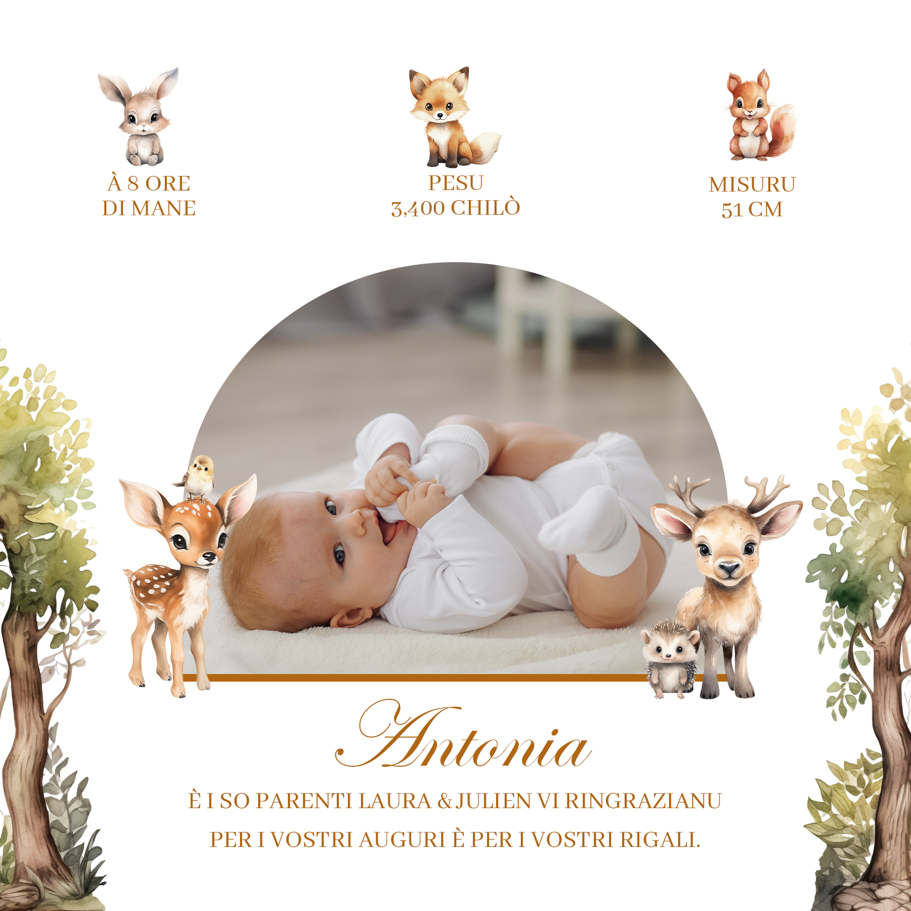 fp naissance petits animaux de la forêt verso