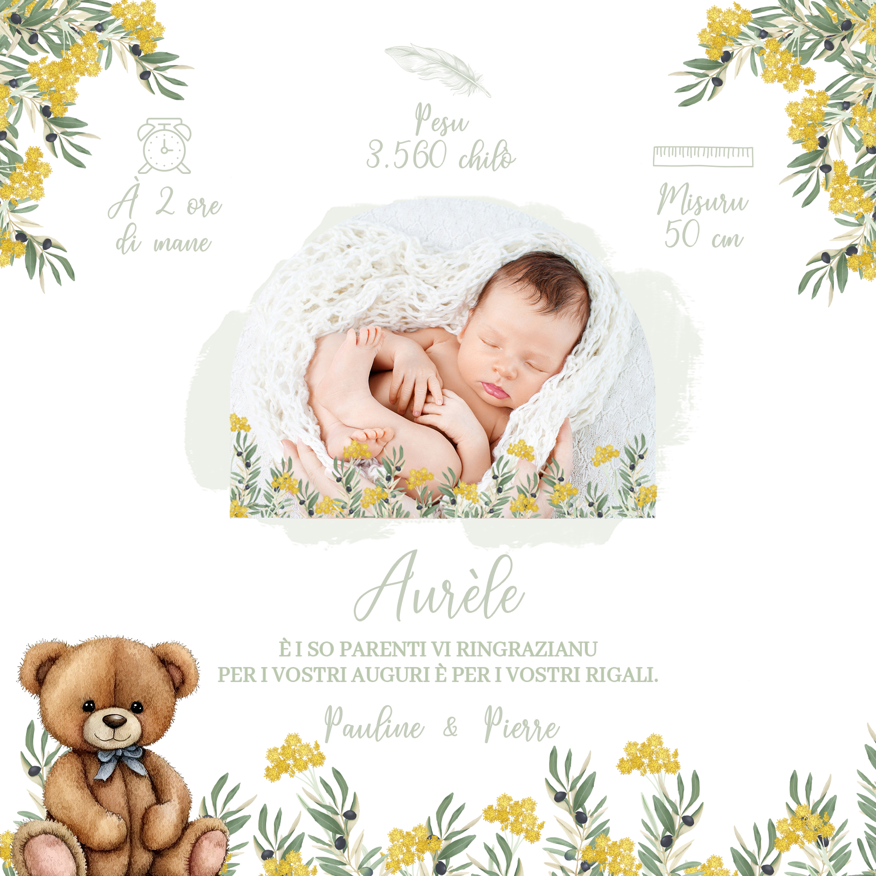 FP naissance nounours couronne olivier immortelle verso