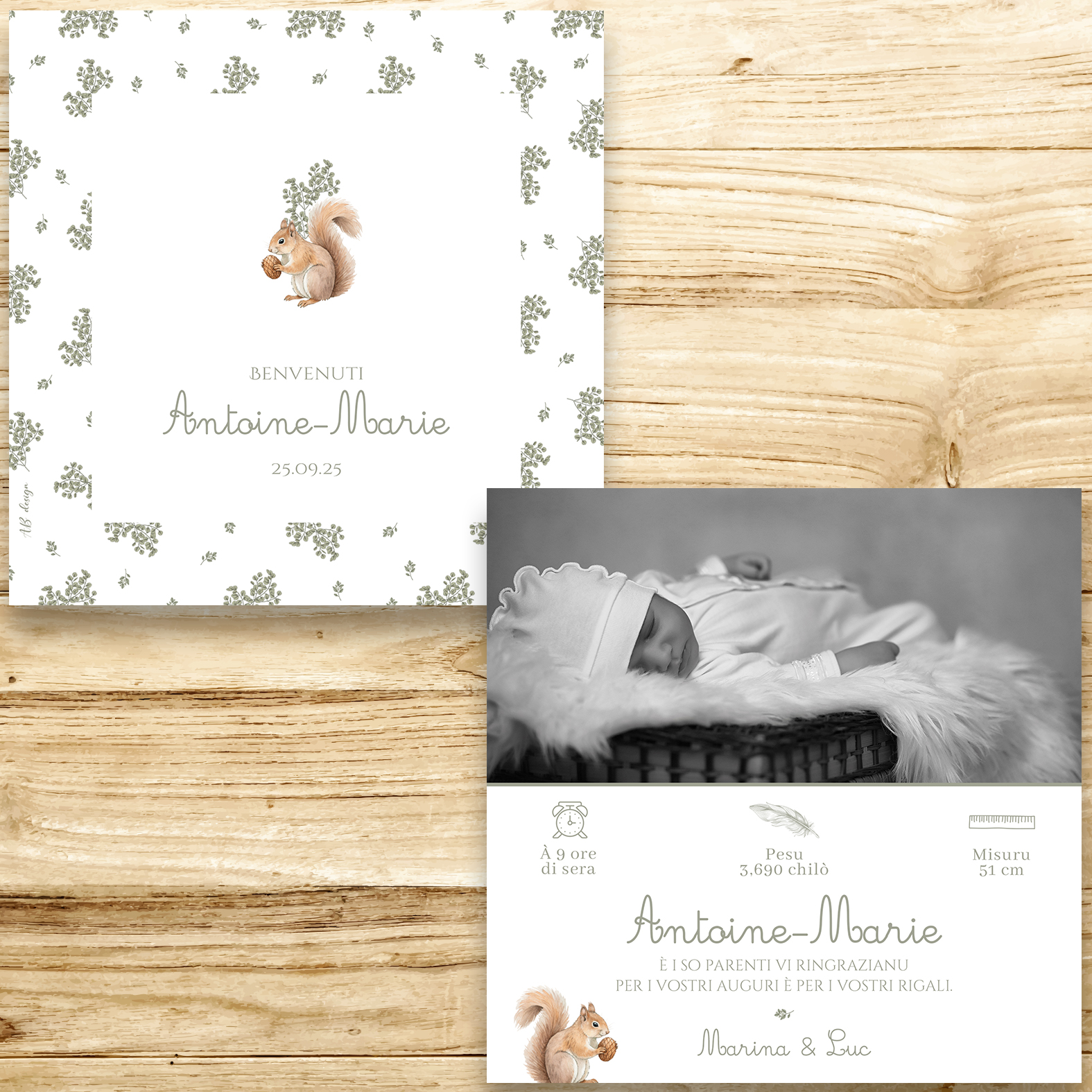 présentation FP naissance ecureuil fond eucalyptus