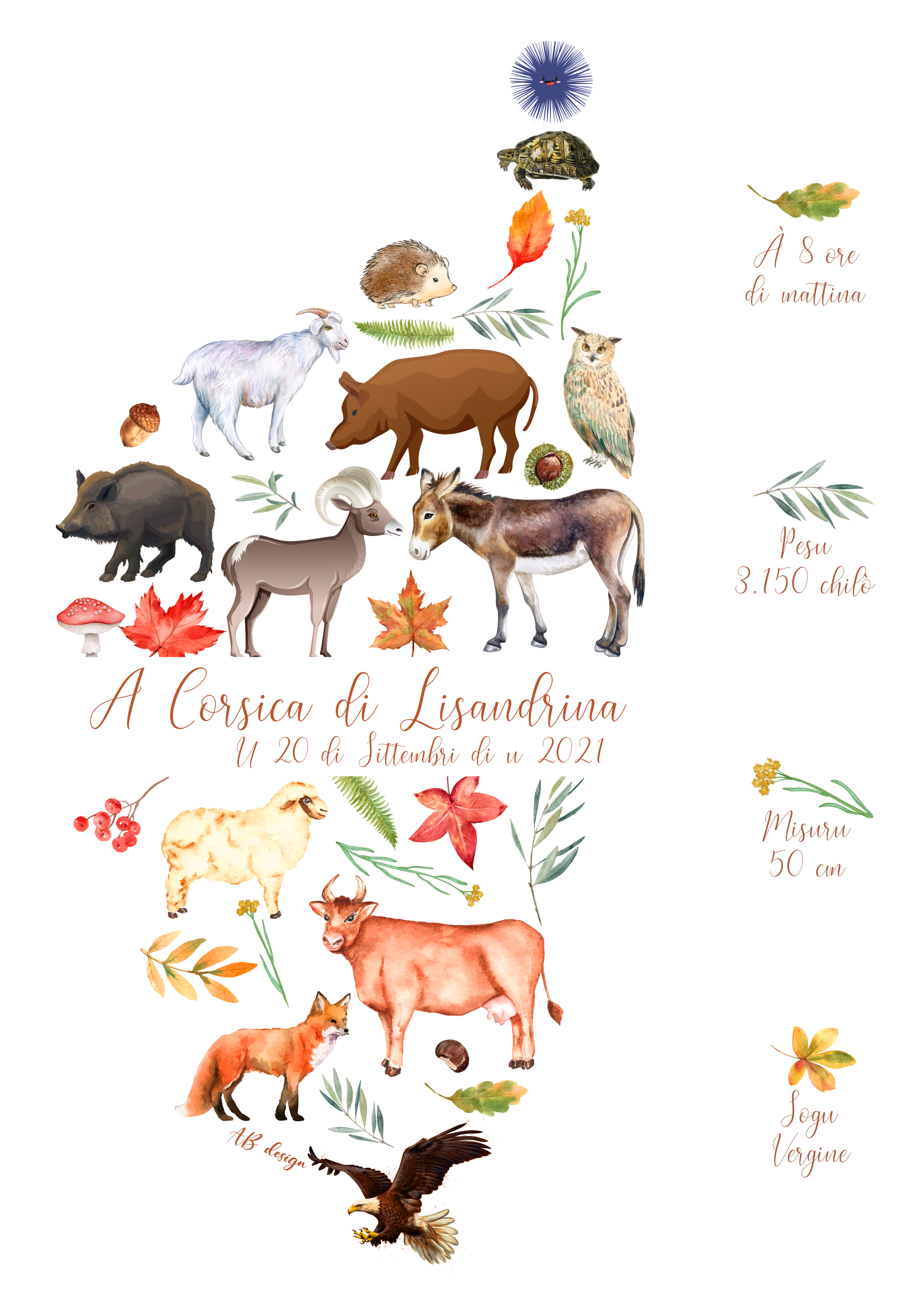 affiche naissance animaux corse faune et flore + éléments naiss