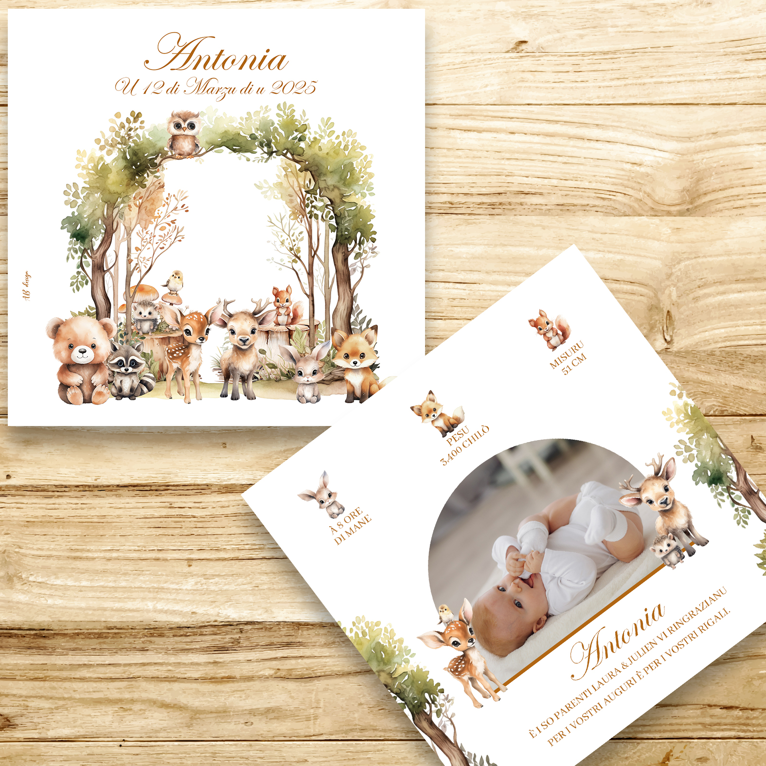 presentation fp naissance petits animaux de la foret