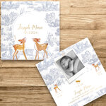 présentation FP naissance toile de jouy bleue + biches