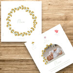 présentation fp naissance couronne immortelle