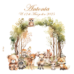 fp naissance petits animaux de la forêt recto