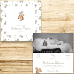 présentation FP naissance ecureuil fond eucalyptus