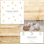 présentation FP naissance petits citrons