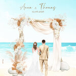FP mariage plage + arche bohème + mariés recto (2)