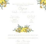 FP baptême Couronne citron immortelle verso