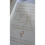 IMG_6217 (2)
