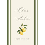FP mariage dolce vita citron + rayures vertes 12,5x17,8 recto