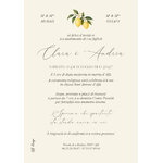 FP mariage dolce vita citron + rayures vertes 12,5x17,8 verso