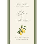 affiche A3 bienvenue mariage dolce vita citron rayures vertes