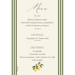 menu A5 mariage dolce vita citron + rayures vertes