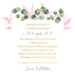 faire-part pampas euca verso
